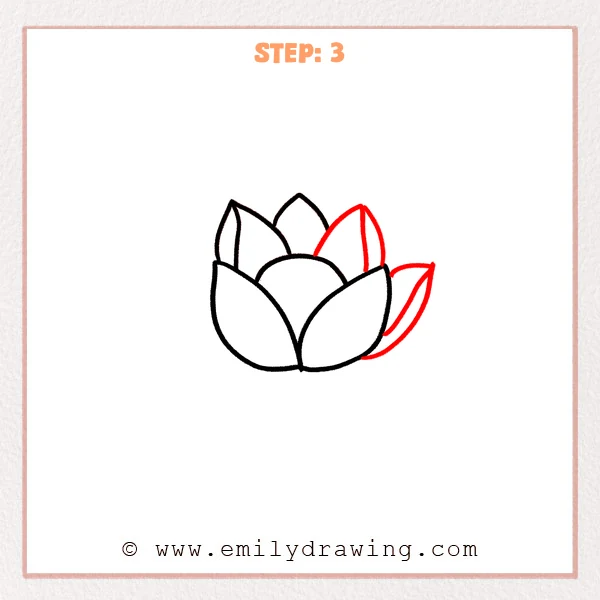 how to draw a lotus flower - Step 3